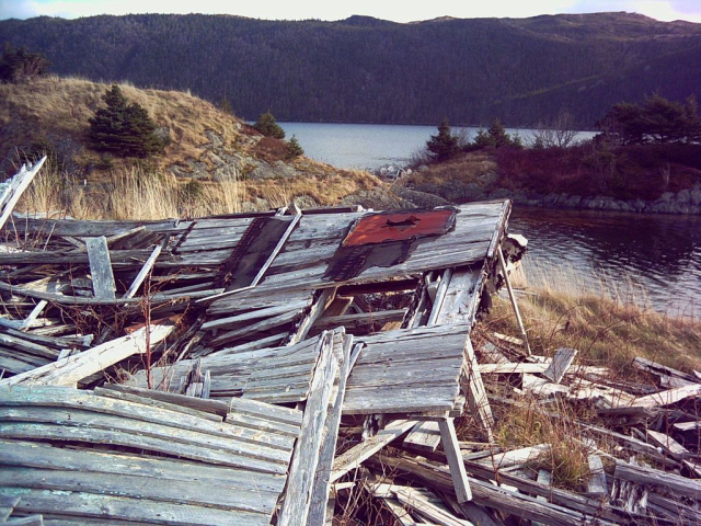 14 Ruins of a Home 2006. Credit: Loretta Ward